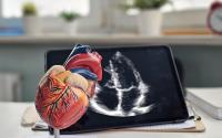 odel of a human heart with echocardiogram displayed on a tablet in a medical setting